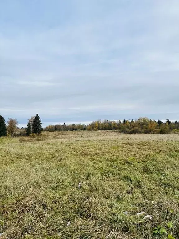 Участок в Ленинградская область, Выборгский район, Красносельское ... - Фото 0