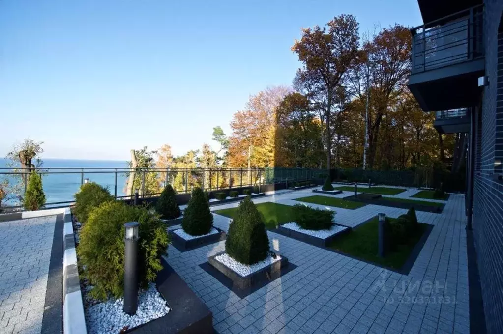 Студия Калининградская область, Светлогорск ул. Динамо, 1а (50.0 м) - Фото 2