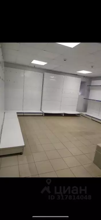 Торговая площадь в Оренбургская область, Орск просп. Мира, 5 (164 м) - Фото 2