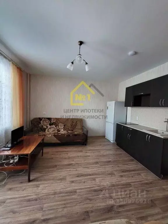 Студия Челябинская область, Челябинск Набережная ул., 3Б (24.6 м) - Фото 1