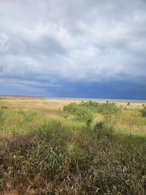 Участок в Краснодарский край, Ейский район, Кухаривское с/пос, с. ... - Фото 1