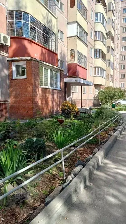 2-к кв. Новосибирская область, Новосибирск ул. Шевченко, 34 (54.0 м) - Фото 1