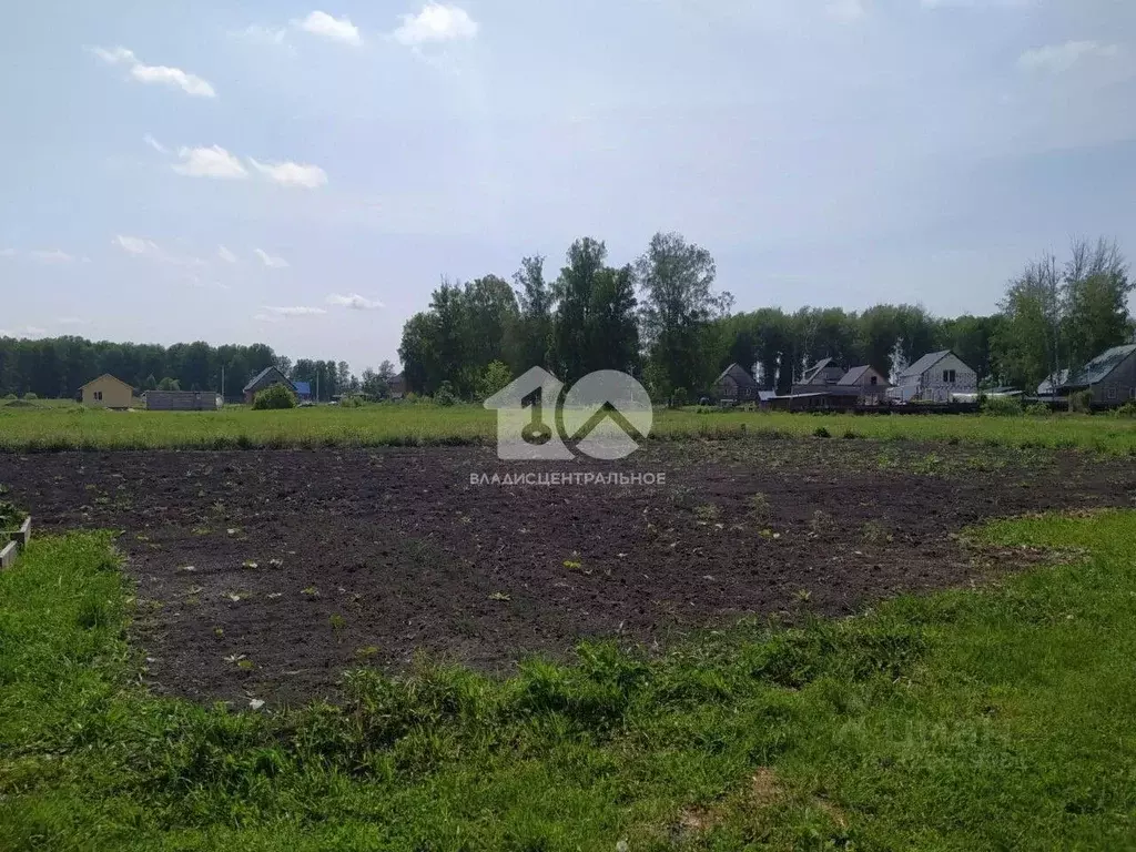 Участок в Новосибирская область, Мошково рп ул. Болдырева, 28 (9.17 ... - Фото 1