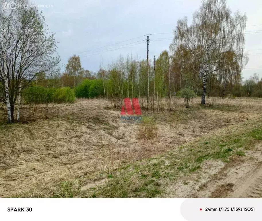 Участок в Ярославская область, Некрасовский муниципальный округ, село ... - Фото 0