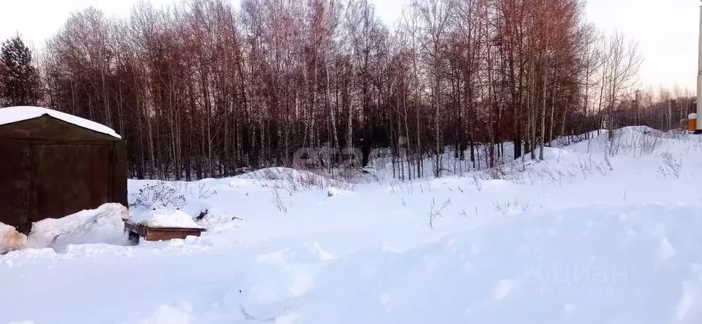 Участок в Томская область, Томский район, с. Корнилово ул. Ключевая ... - Фото 1