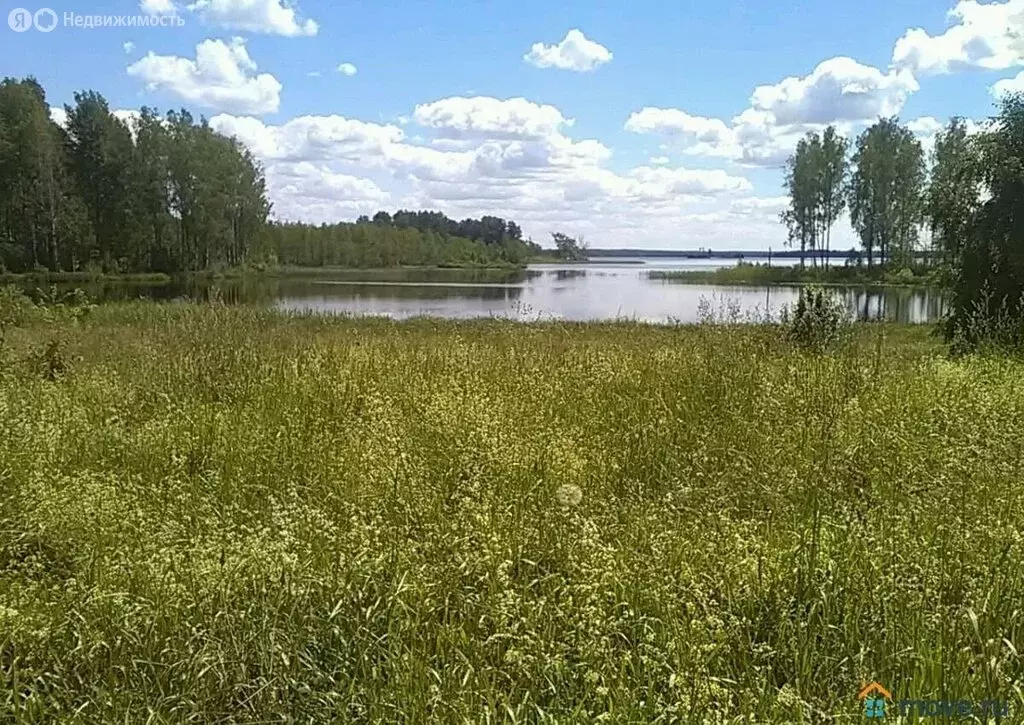 Участок в Новгородская область, Демянский муниципальный округ, деревня ... - Фото 1
