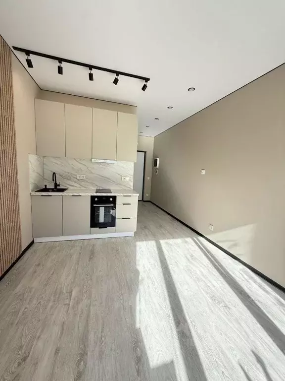 Студия Санкт-Петербург просп. Крузенштерна, 4 (19.7 м) - Фото 2