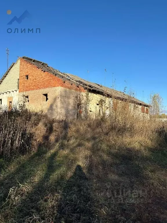 Участок в Вологодская область, Чагодощенский муниципальный округ, ... - Фото 1