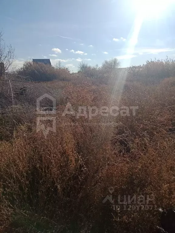 Участок в Волгоградская область, Светлоярский район, ... - Фото 0