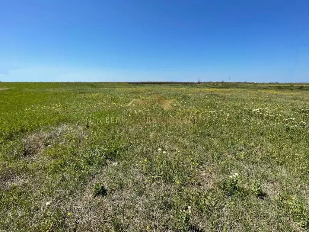 Участок в Крым, Евпатория городской округ, Новоозерное пгт  (50.0 ... - Фото 2