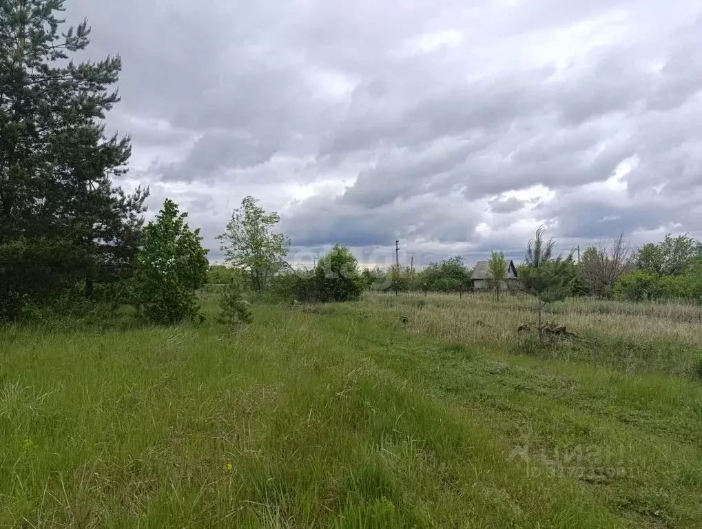 Участок в Воронежская область, Воронеж Березка СНТ,  (9.0 сот.) - Фото 0