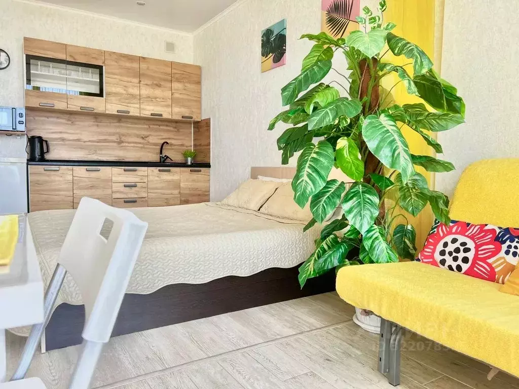 Студия Краснодарский край, Анапа ул. Толстого, 130к1 (30.0 м) - Фото 1