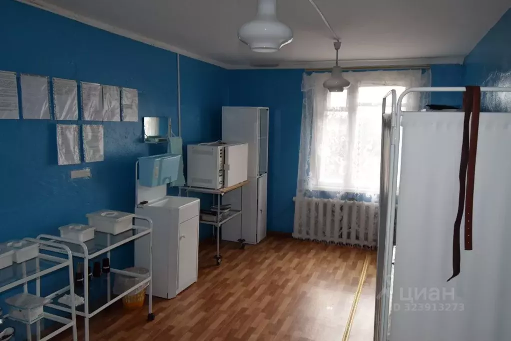 Помещение свободного назначения в Курганская область, Целинный ... - Фото 1