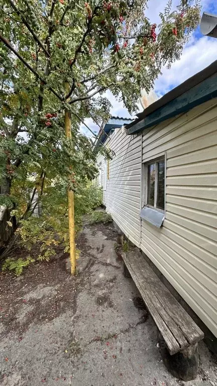 Дом в Волгоградская область, Иловлинский район, с. Лог ул. Садовая (68 ... - Фото 1