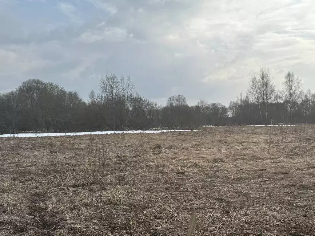 Участок в Московская область, Можайский муниципальный округ, д. ... - Фото 1