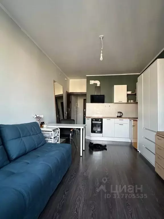 Студия Санкт-Петербург аллея Арцеуловская, 21 (24.3 м) - Фото 0