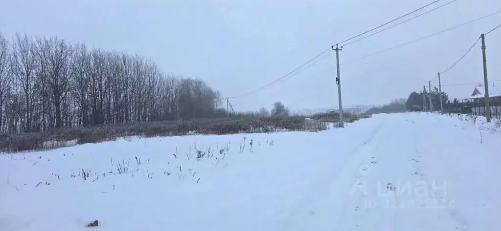 Участок в Калининградская область, Зеленоградский муниципальный округ, ... - Фото 1