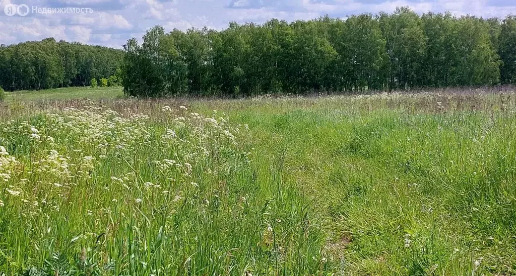 Участок в Московская область, муниципальный округ Чехов, деревня ... - Фото 1