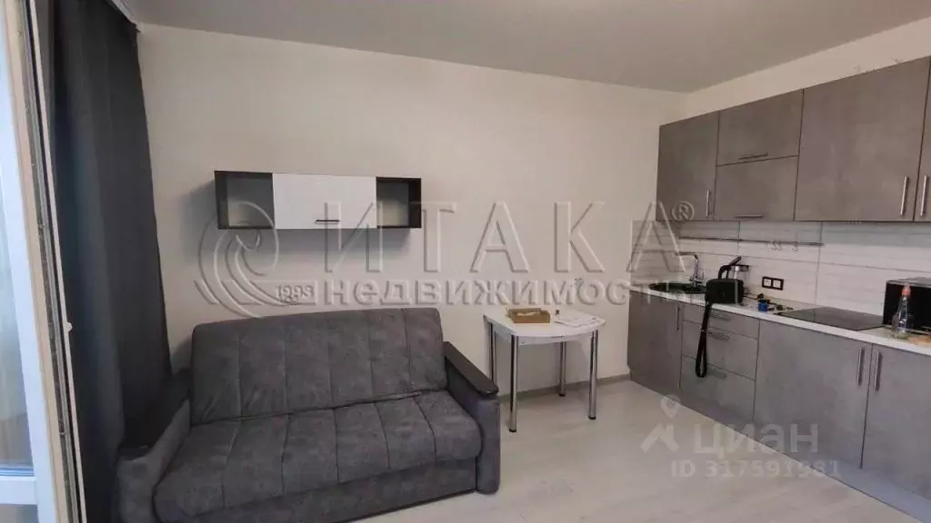 Студия Санкт-Петербург просп. Ветеранов, 179 (24.0 м) - Фото 1