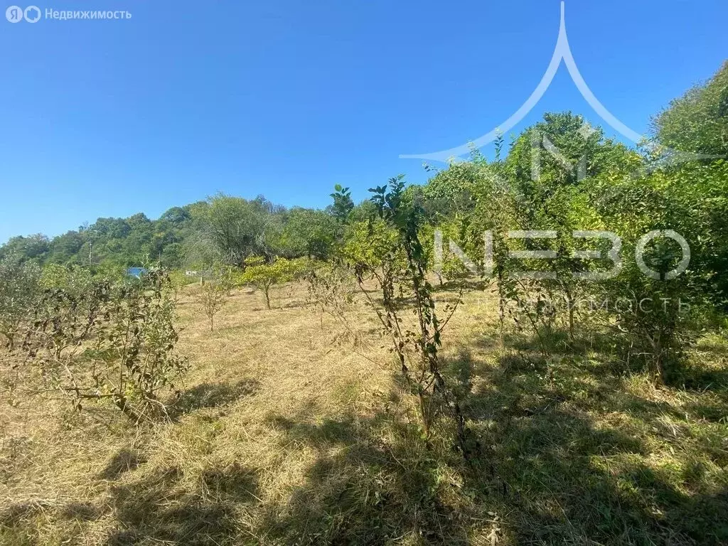 Участок в село Горное Лоо, Камчатская улица (12 м) - Фото 2