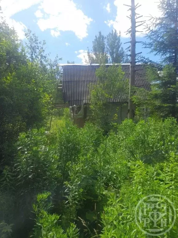 Участок в Ленинградская область, Лужский район, Мшинское с/пос, ... - Фото 2