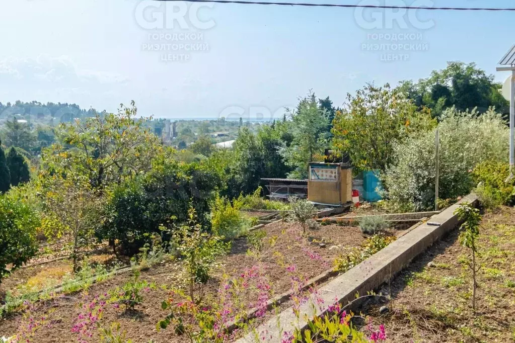 Участок в Краснодарский край, Сочи Головинка мкр, ул. Центральная, 66А ... - Фото 0