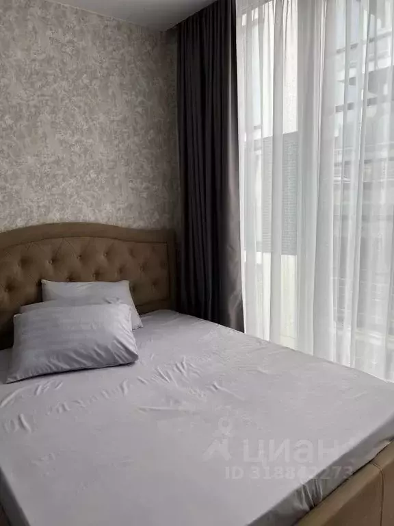 Студия Краснодарский край, Сочи Молодогвардейская ул., 2/61 (25.0 м) - Фото 0