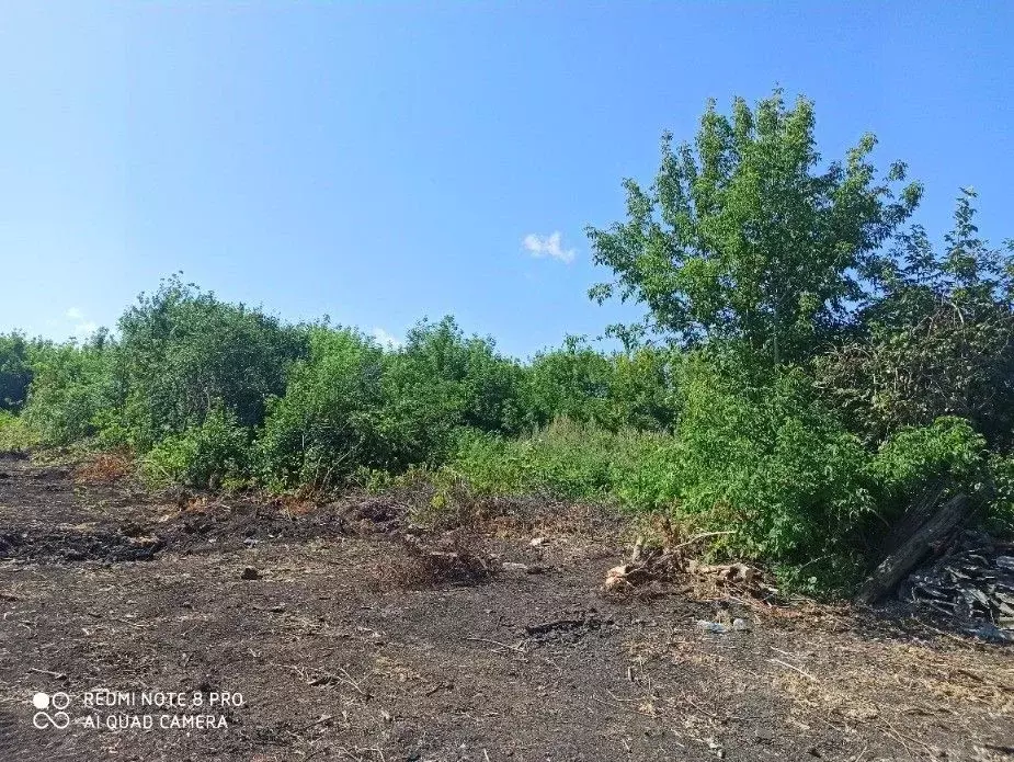 Участок в Татарстан, Камско-Устьинский район, Теньковское с/пос, с. ... - Фото 2