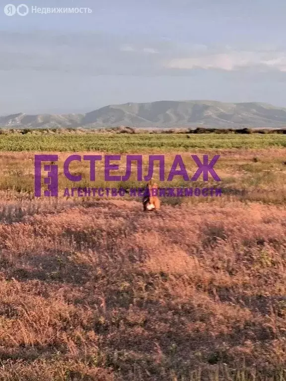 Участок в Ильичёвское сельское поселение, село Дятловка (7 м) - Фото 1