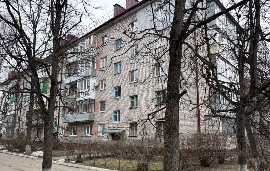 1-к кв. Брянская область, Брянск Северный пер., 52 (30.0 м) - Фото 1