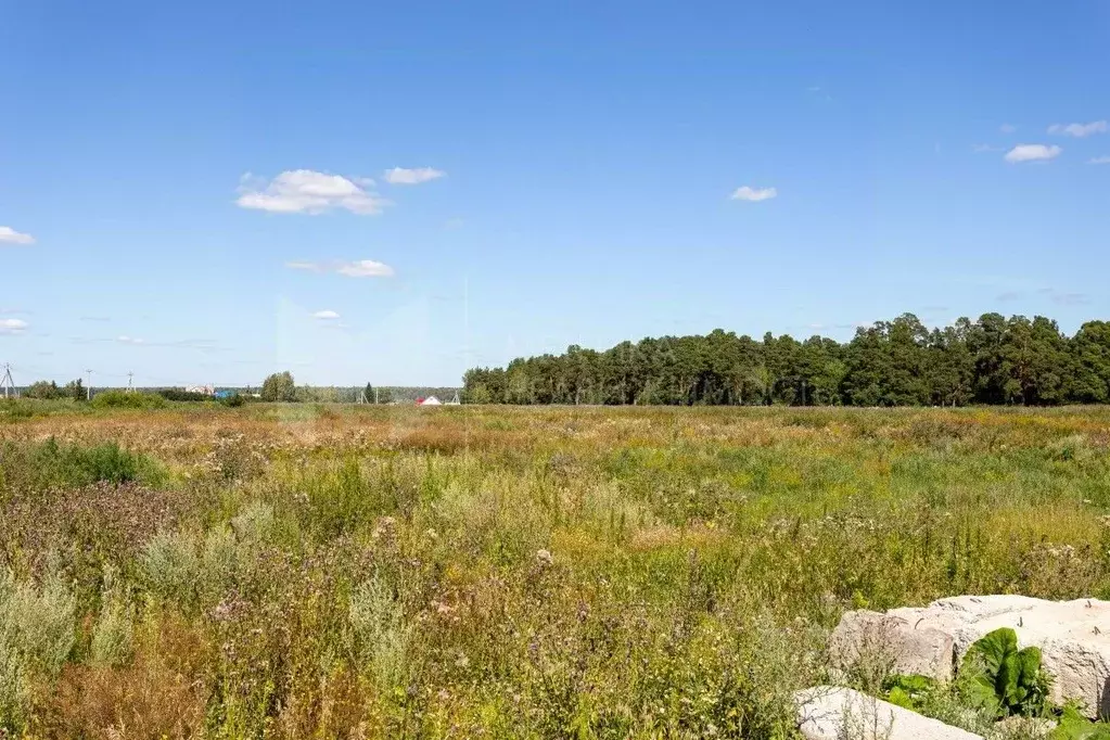 Участок в Тюменская область, Нижнетавдинский район, с. Средние Тарманы ... - Фото 1