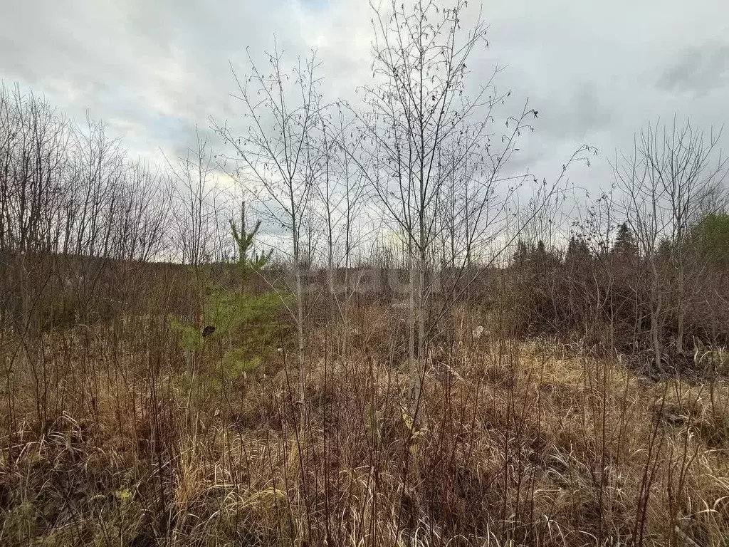 Участок в Вологодская область, Великоустюгский муниципальный округ, ... - Фото 0