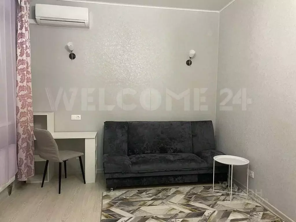 Студия Московская область, Богородский городской округ, д. Щемилово ... - Фото 2