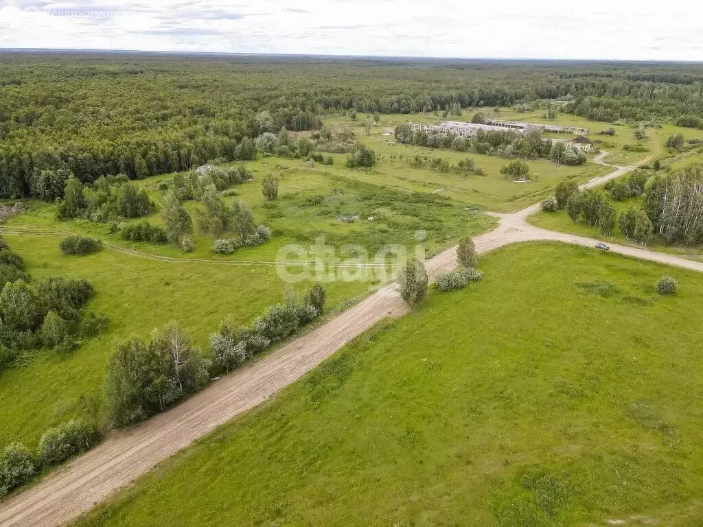 Участок в Тюменская область, Нижнетавдинский муниципальный округ, ... - Фото 2
