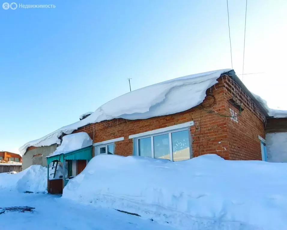 2-комнатная квартира: Болотное, Турнаевская улица, 38Б (38 м) - Фото 2