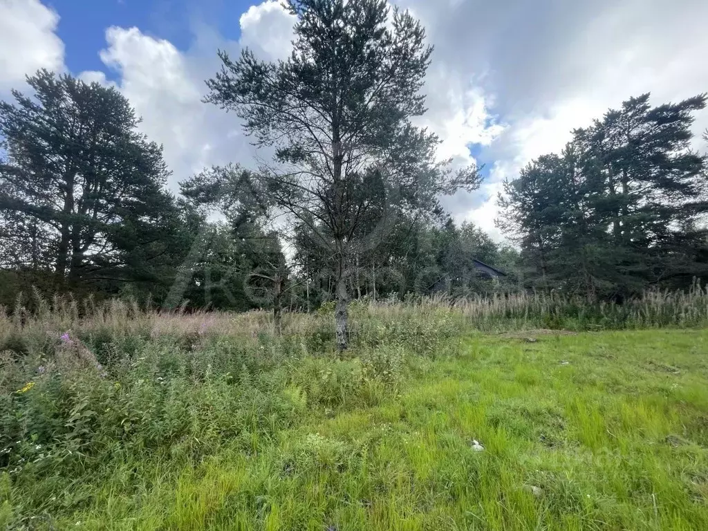 Участок в Ленинградская область, Приозерский район, Ларионовское ... - Фото 2