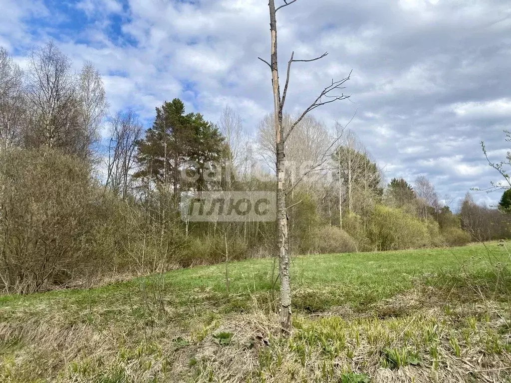 Участок в Карелия, Прионежский район, Заозерское с/пос, д. Ялгуба  ... - Фото 1
