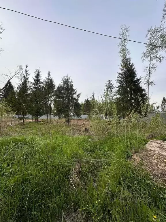 Участок в Московская область, Наро-Фоминский городской округ, д. ... - Фото 1