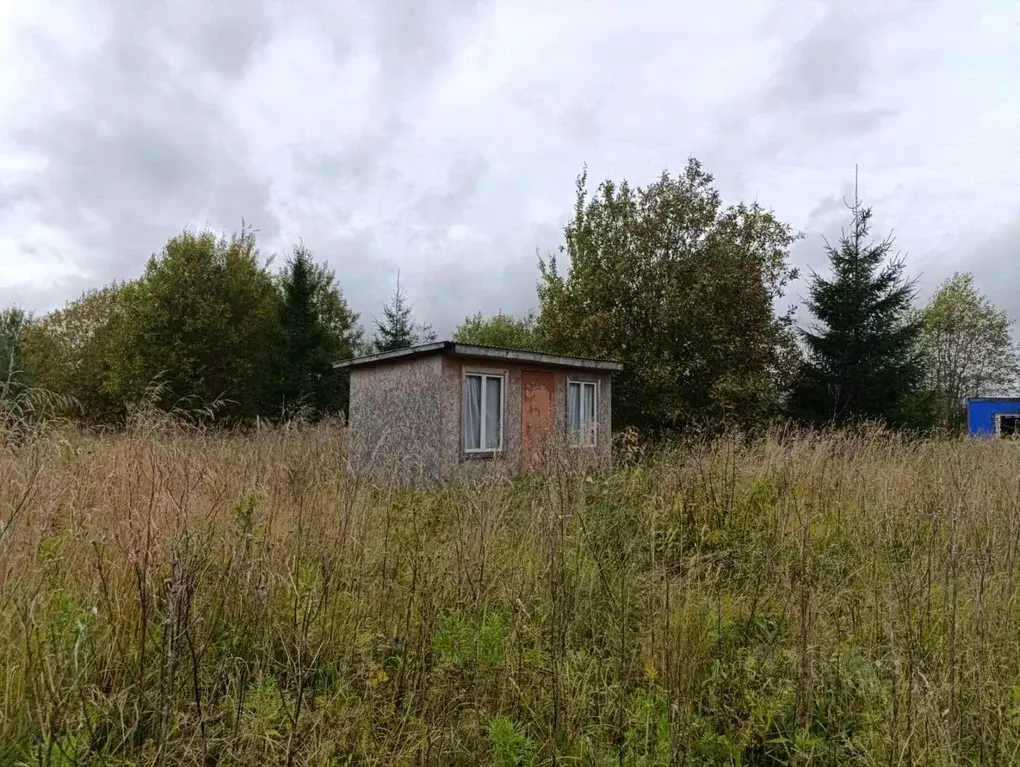 Участок в Ленинградская область, Волосовский район, Калитинское с/пос, ... - Фото 2