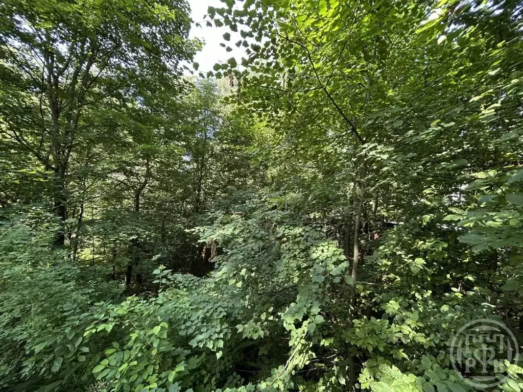 Участок в Санкт-Петербург пос. Парголово, Вокзальное ш., 6 (13.2 сот.) - Фото 2