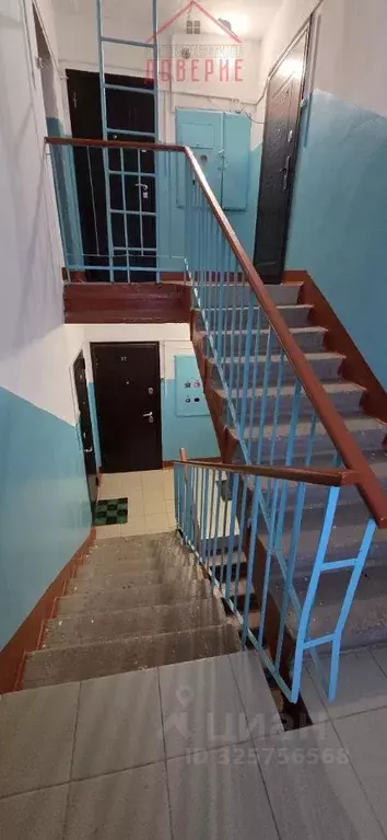 2-к кв. Вологодская область, Великий Устюг ул. Шумилова, 15 (50.6 м) - Фото 2