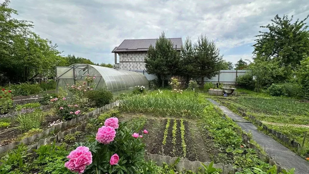 Участок в Калининградская область, Калининград Радуга СНТ, ул. 3-я ... - Фото 0