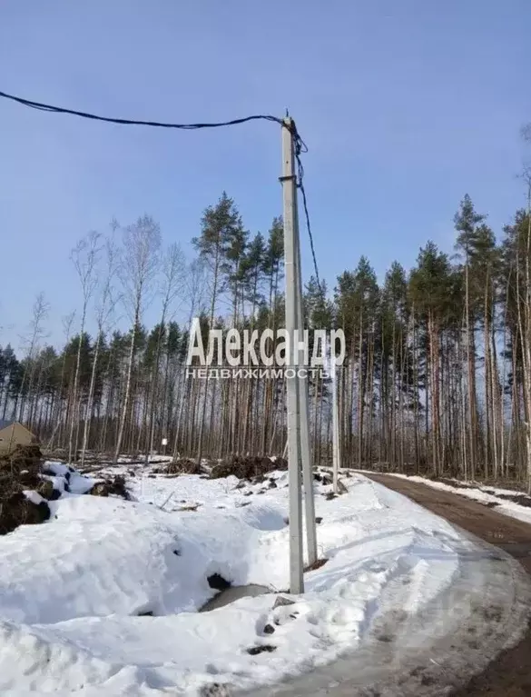 Участок в Ленинградская область, Всеволожский район, Бугровское ... - Фото 2