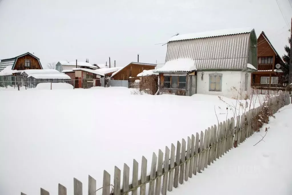 Участок в Новосибирская область, Бердск Приморский СНТ,  (3.9 сот.) - Фото 1