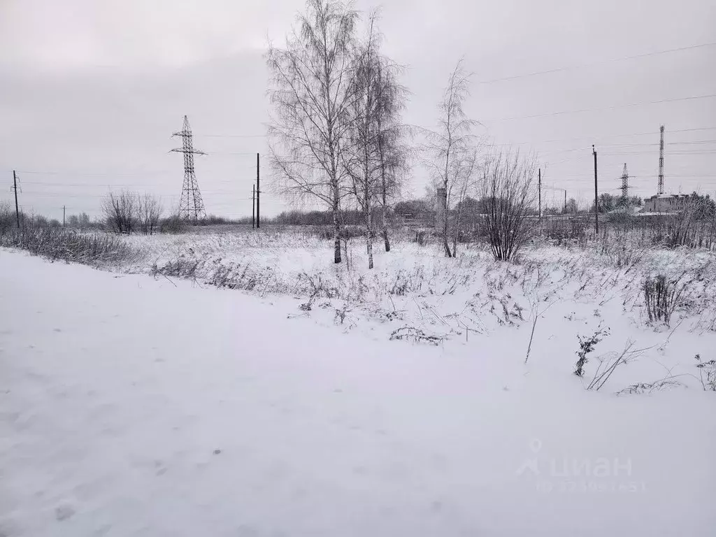 Участок в Брянская область, Брянский район, с. Глинищево ул. П.М. ... - Фото 2