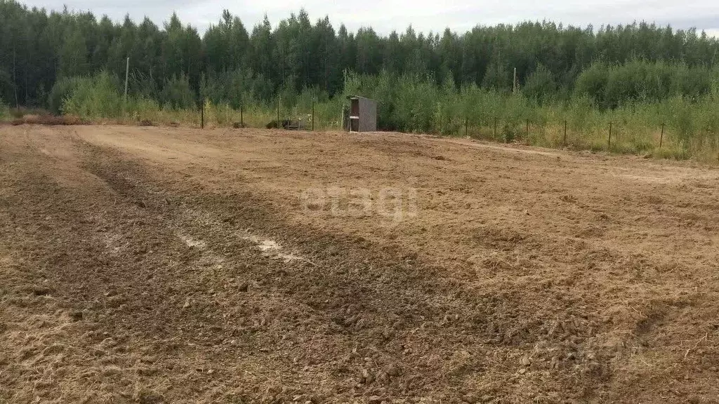 Участок в Ханты-Мансийский АО, Ханты-Мансийск Бытовик СОТ,  (10.0 ... - Фото 0