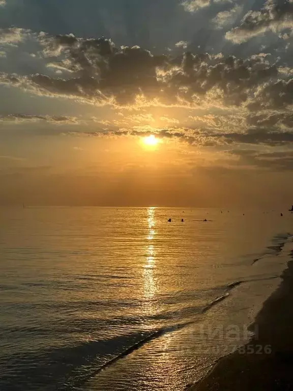 Дом в Краснодарский край, Ейский район, Камышеватская ст-ца ул. ... - Фото 2