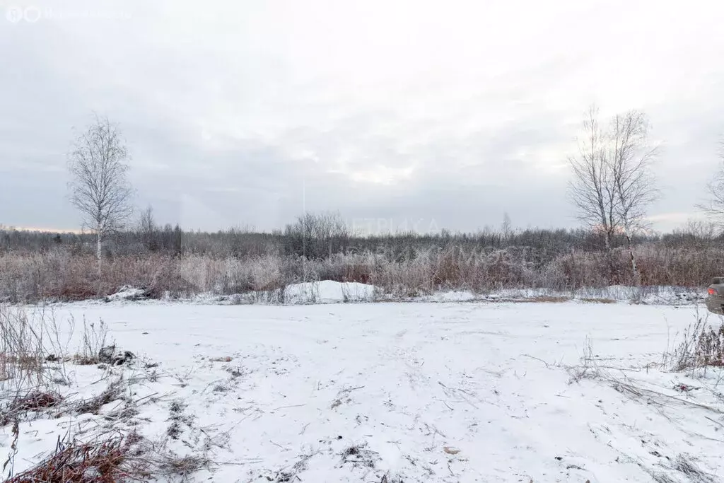 Участок в Тюмень, садовое товарищество Якорь, Светлая улица (6.11 м) - Фото 1
