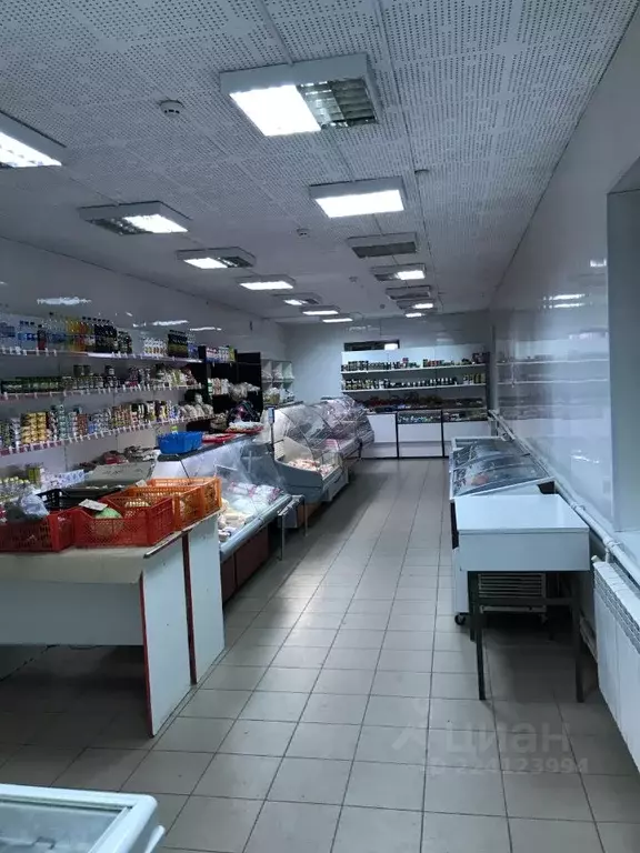 Помещение свободного назначения в Тульская область, Донской ул. ... - Фото 1
