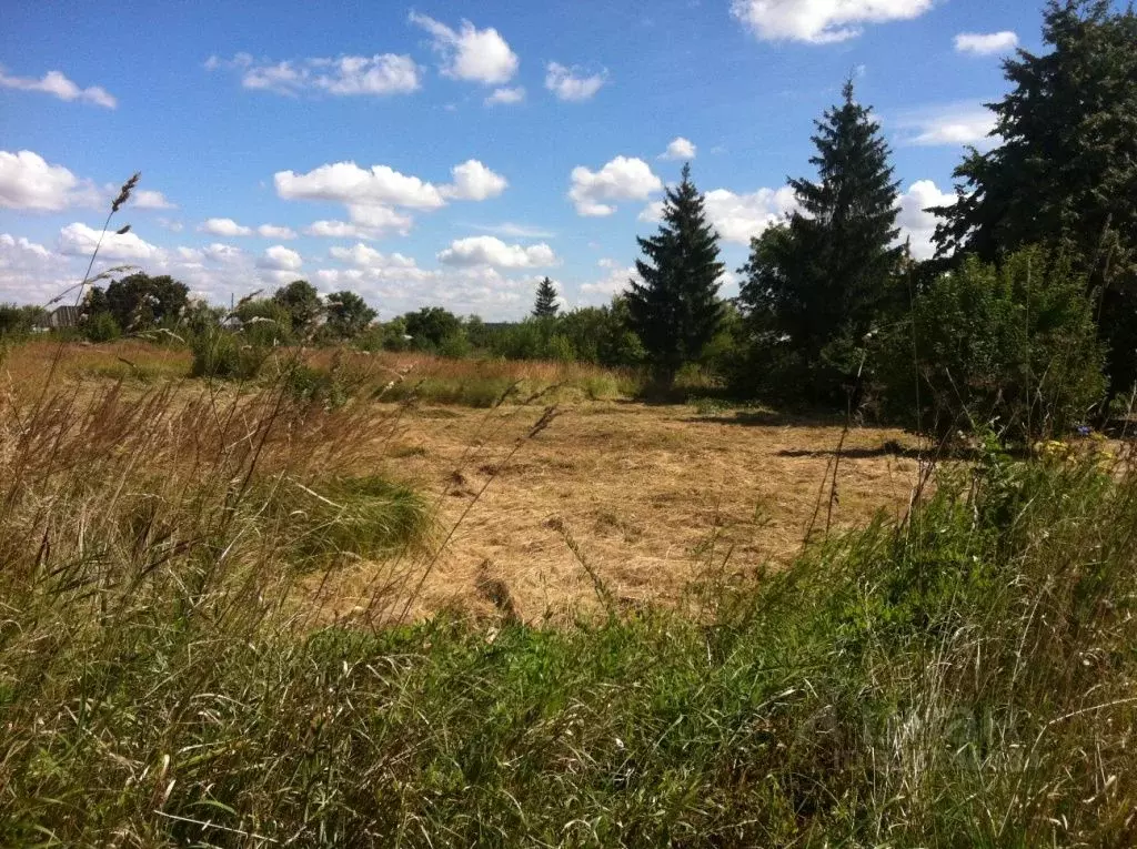 Участок в Московская область, Коломна городской округ, д. Жиливо ул. ... - Фото 1